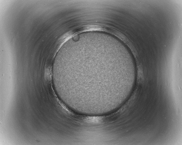 X0000103971377200810031216