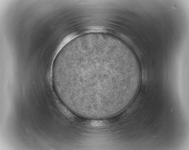 X0000103971378200810031216