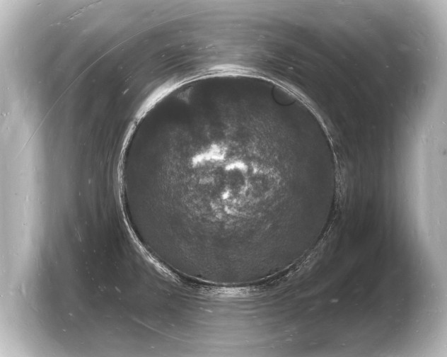 X0000103971381200810031215