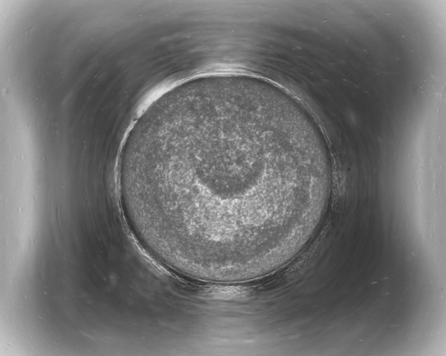 X0000103971382200810031215