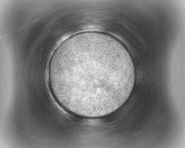 X0000103971383200810031215