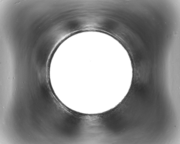 X0000103971384200810031215