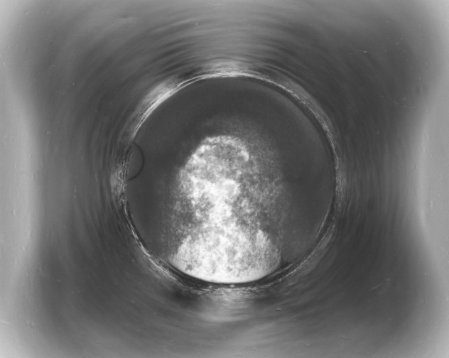 X0000103971385200810031215