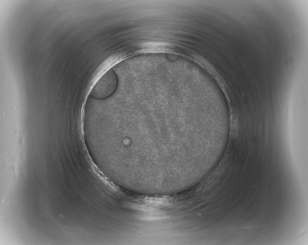 X0000103971386200810031215