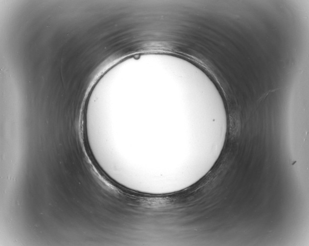 X0000103971387200810031215