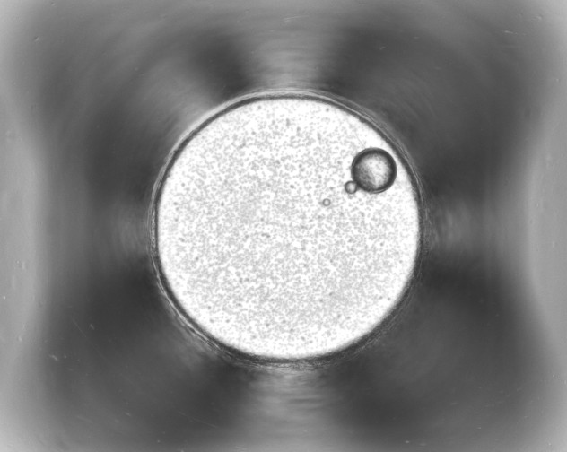 X0000103971388200810031215