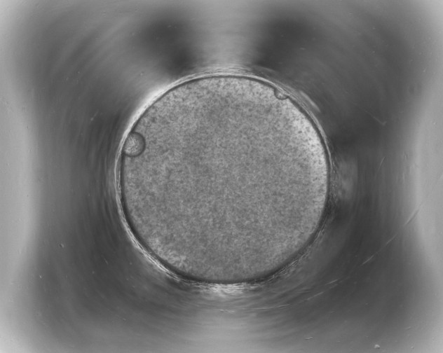 X0000103971389200810031215