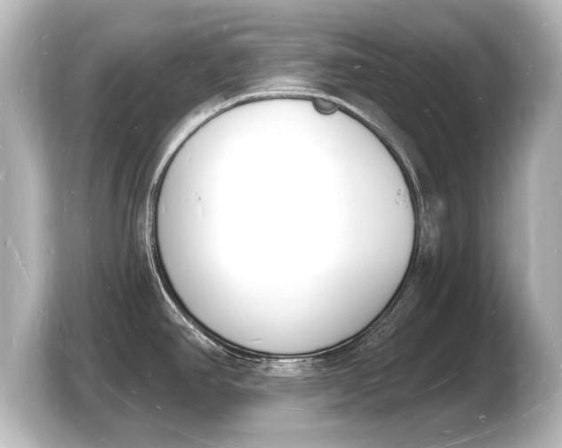 X0000103971390200810031215