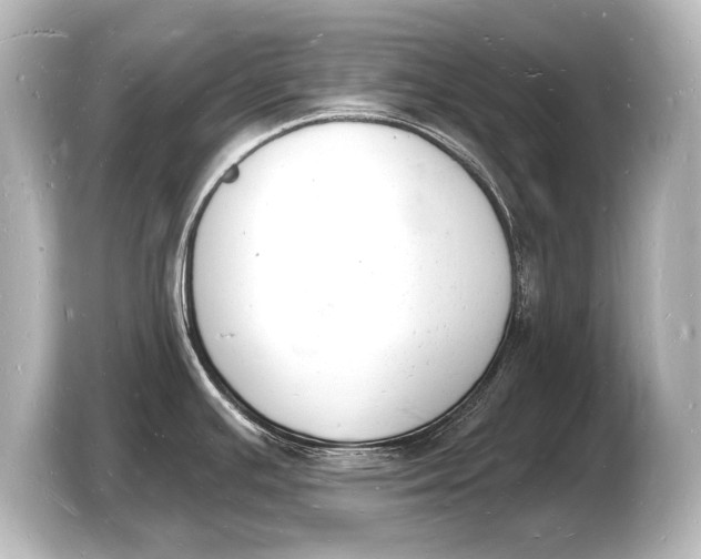 X0000103971391200810031215