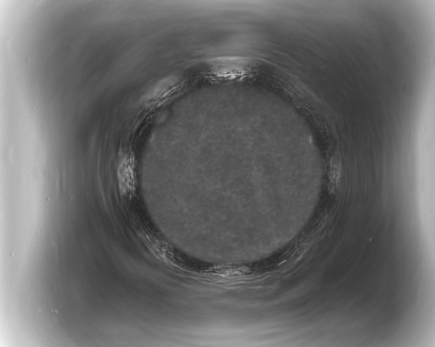 X0000103971394200810031215