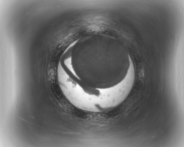 X0000103971397200810031215