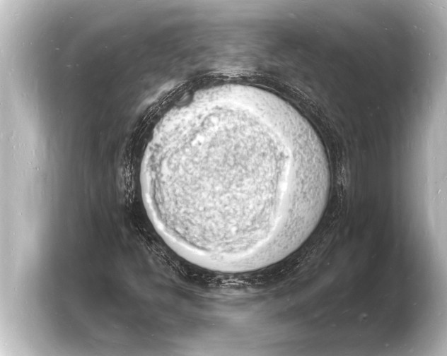 X0000103971398200810031215