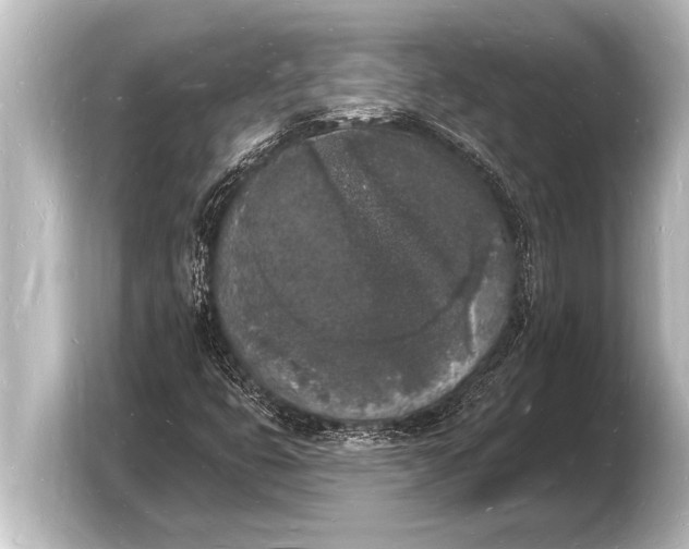 X0000103971399200810031215