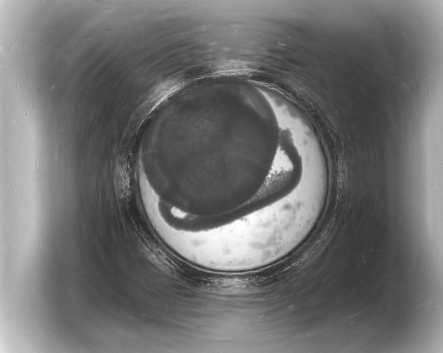 X0000103971401200810031215