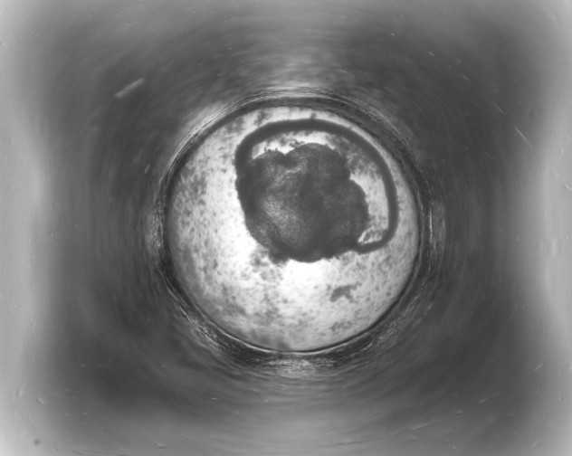 X0000103971405200810031215