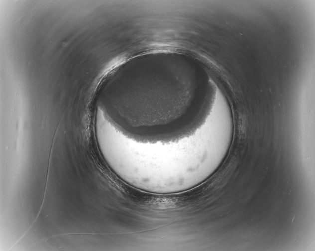 X0000103971411200810031215