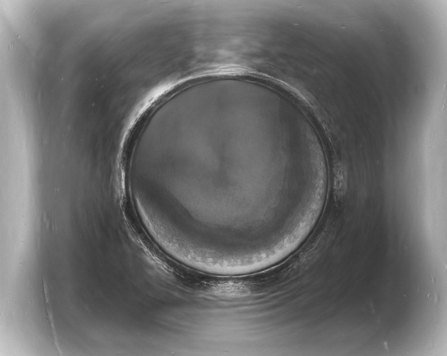 X0000103971414200810031215