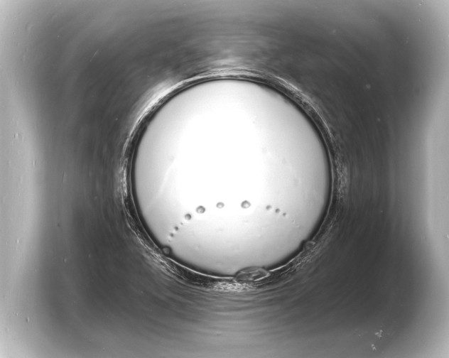 X0000103971415200810031215