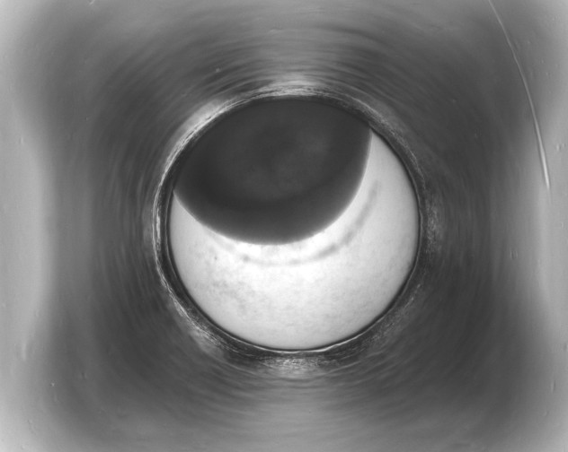 X0000103971418200810031215