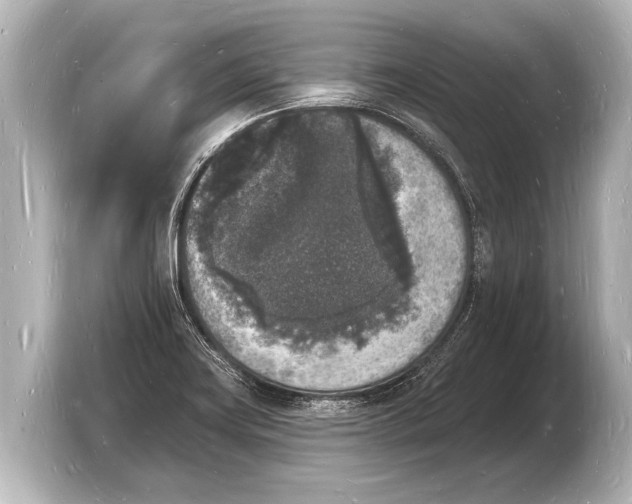 X0000103971419200810031215