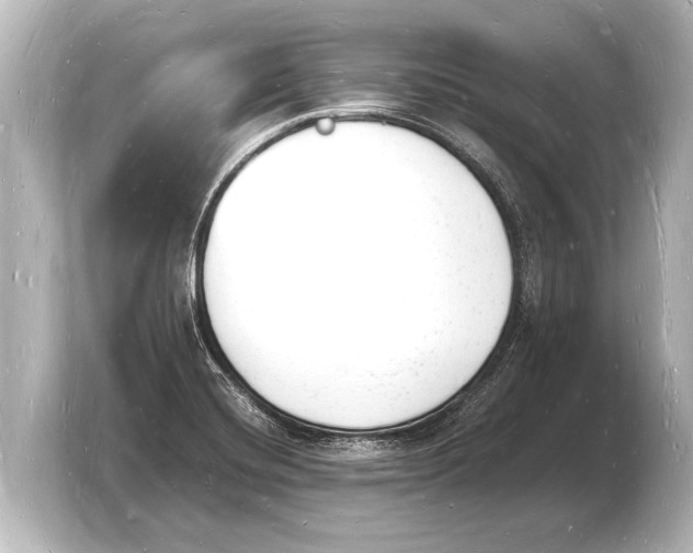 X0000103971420200810031215