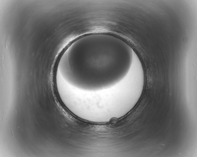 X0000103971422200810031215