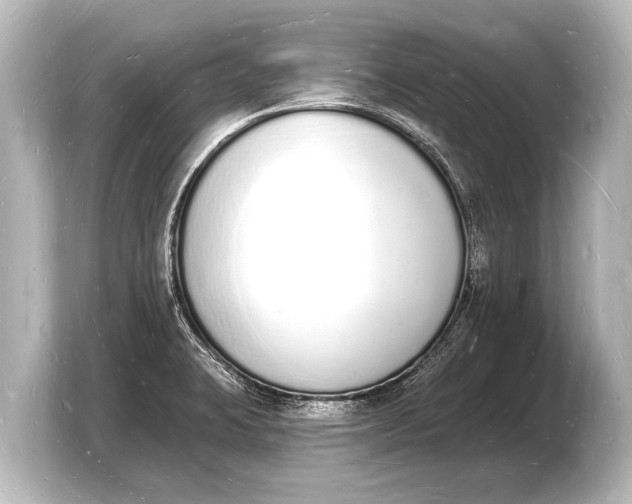 X0000103971423200810031215