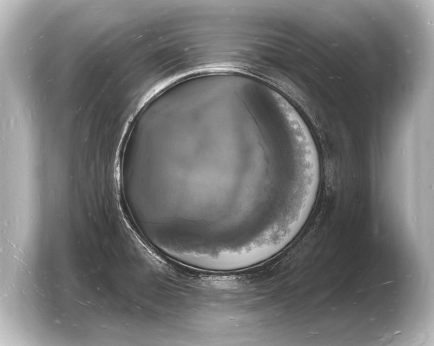 X0000103971428200810031215