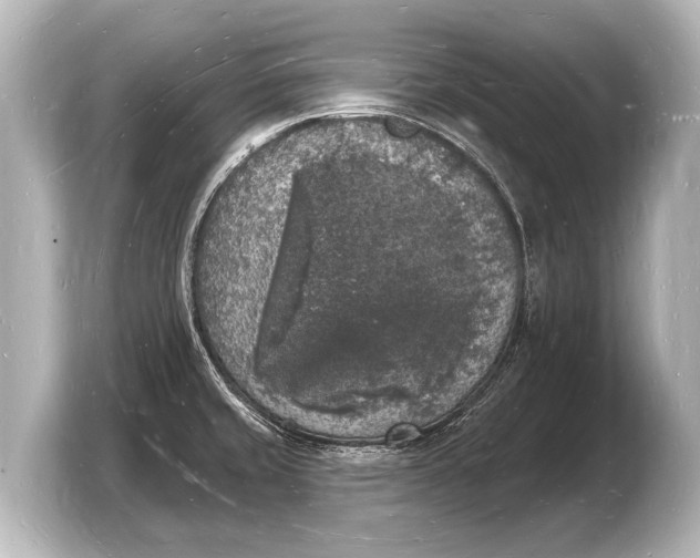 X0000103971429200810031215