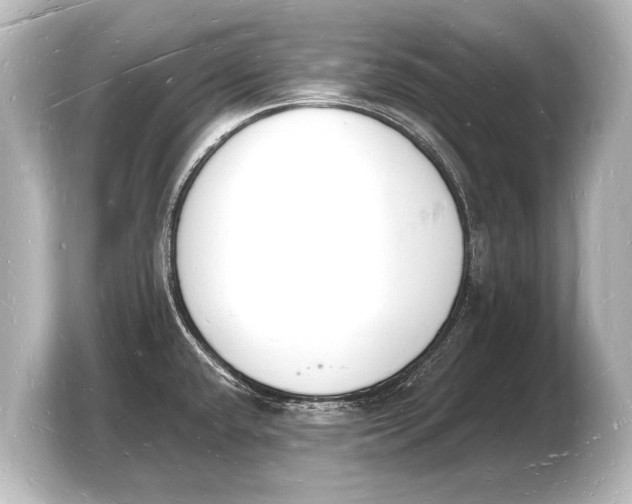 X0000103971432200810031215