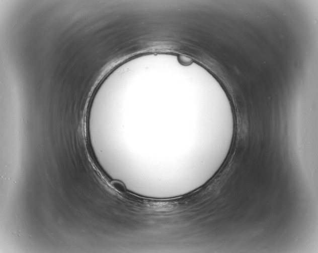 X0000103971436200810031215