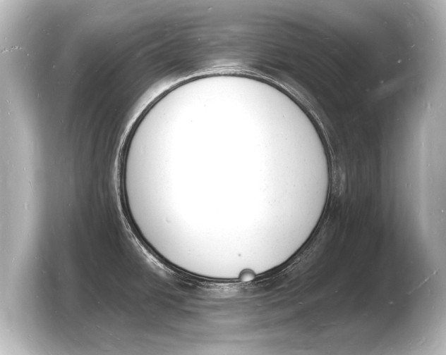 X0000103971438200810031215