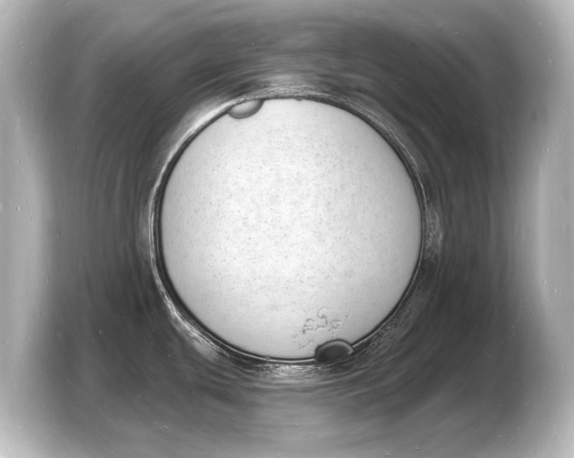 X0000103971439200810031215