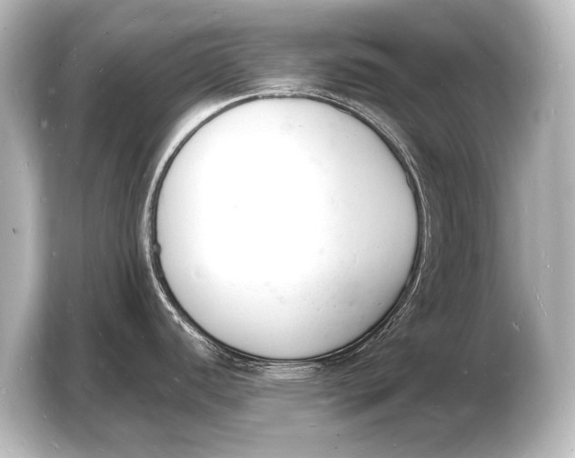 X0000103971440200810031215