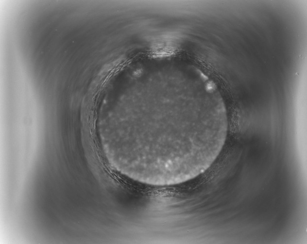 X0000103971441200810031215