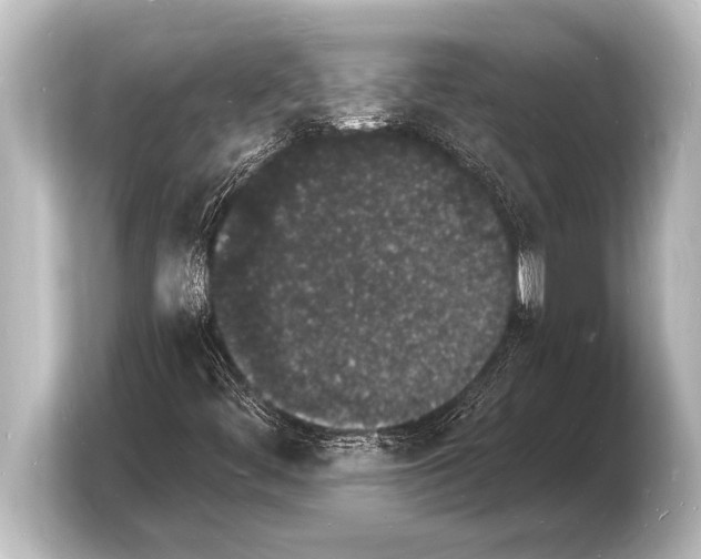 X0000103971444200810031215