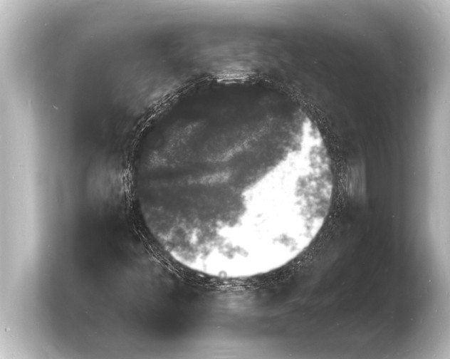 X0000103971445200810031215