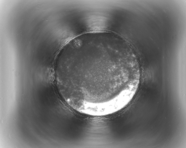 X0000103971449200810031215