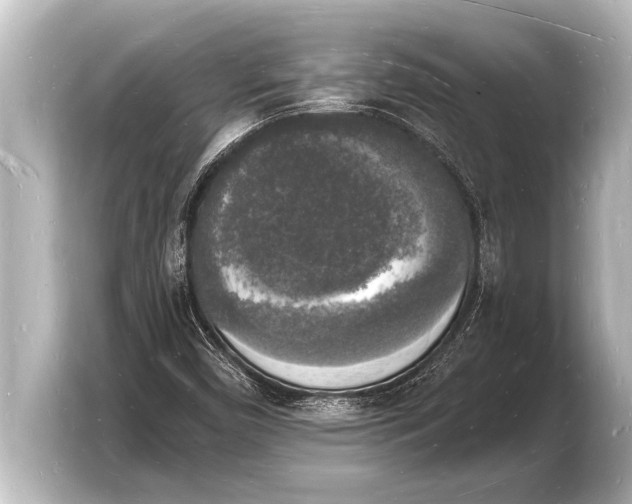 X0000103971450200810031215