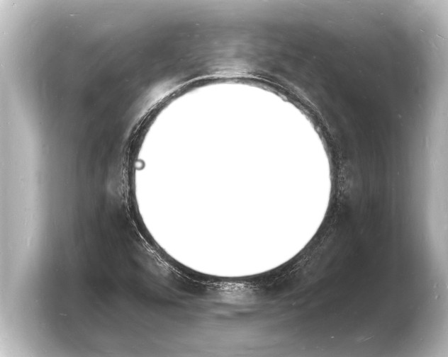 X0000103971456200810031214