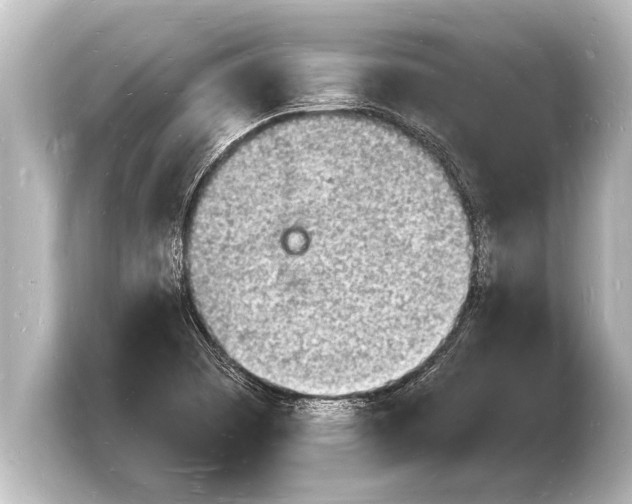 X0000103971457200810031214