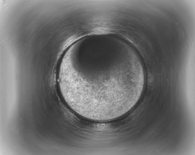 X0000103971459200810031214