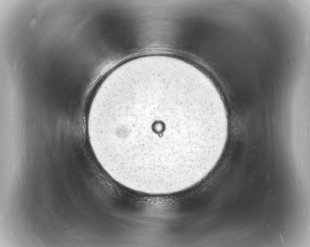 X0000103971461200810031214