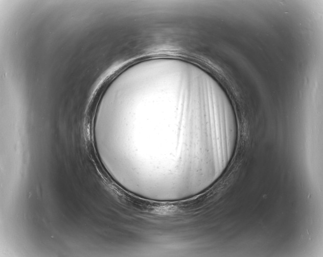 X0000103971462200810031214