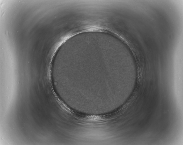 X0000103971463200810031214