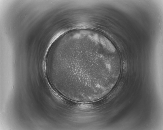 X0000103971466200810031214