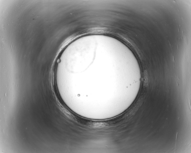 X0000103971467200810031214