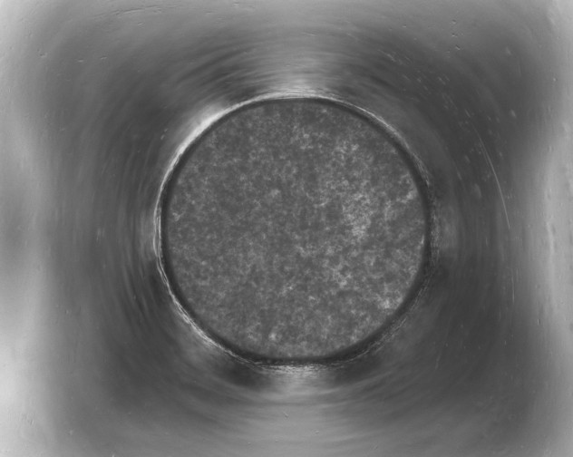 X0000103971468200810031214