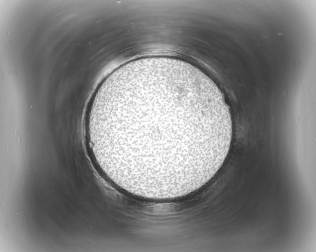 X0000103971471200810031214