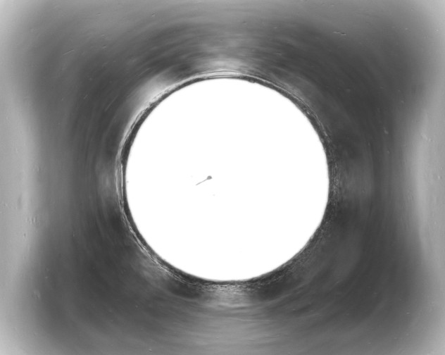 X0000103971472200810031214